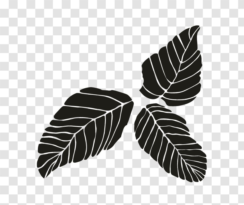 Leaf White - Black And Transparent PNG