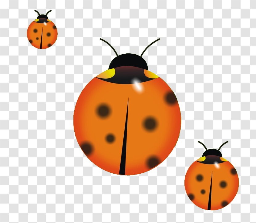Beetle Ladybird Clip Art - Pumpkin - Ladybug Transparent PNG