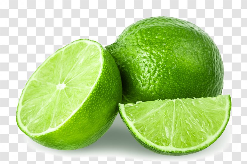 Sweet Lemon Key Lime Persian - HQ Pictures Transparent PNG