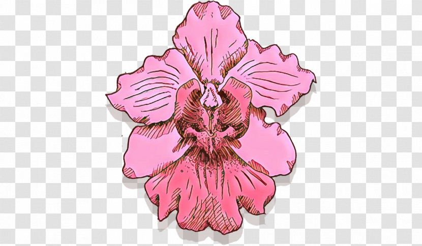 Pink Flower Plant Petal Hibiscus Transparent PNG