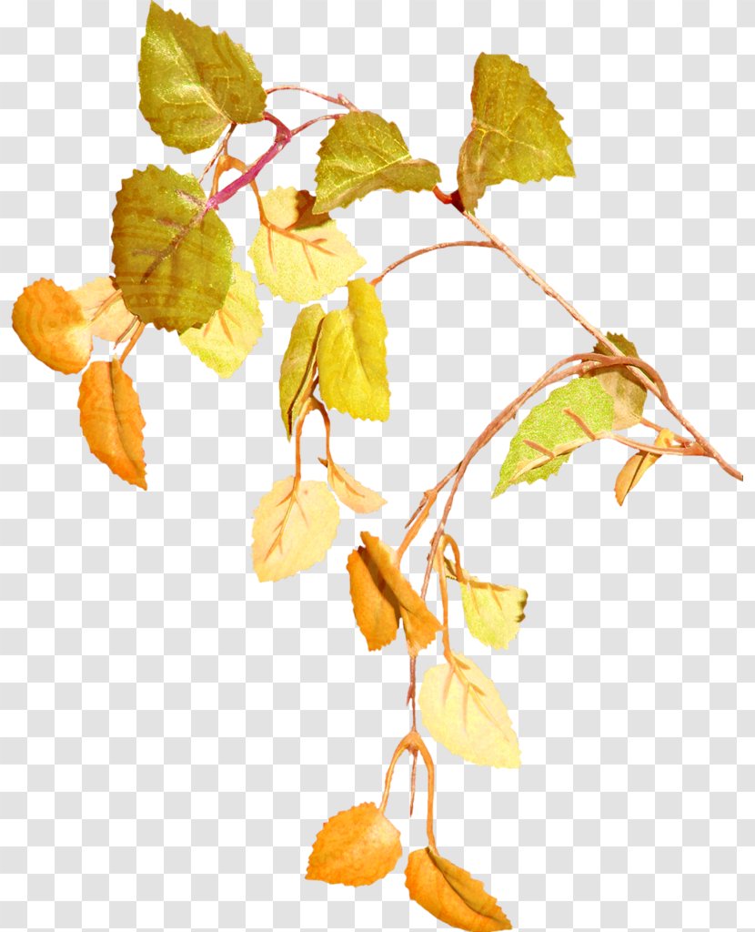 Yellow Chartreuse Clip Art - Tree - Branch Transparent PNG