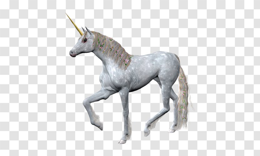 Unicorn Horse Horn Image - Mane Transparent PNG