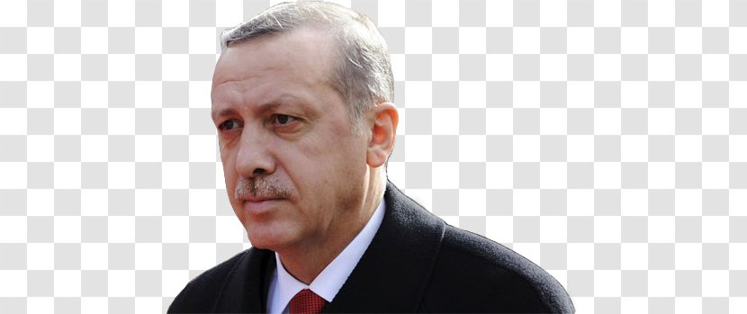 Recep Tayyip Erdoğan Politician Party Leader Business Executive - Erdogan Transparent PNG