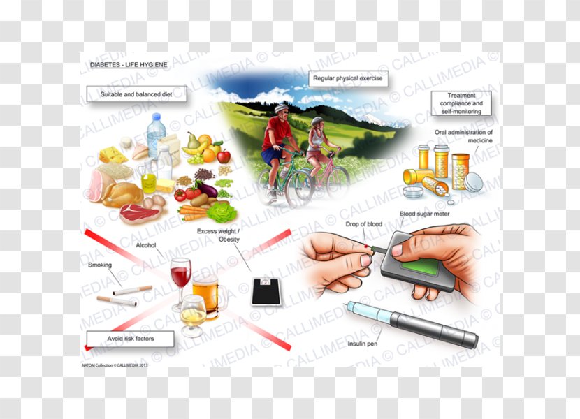 Hygiene Hygiène De Vie The Science Of Health Diabetes Mellitus - Plastic Transparent PNG
