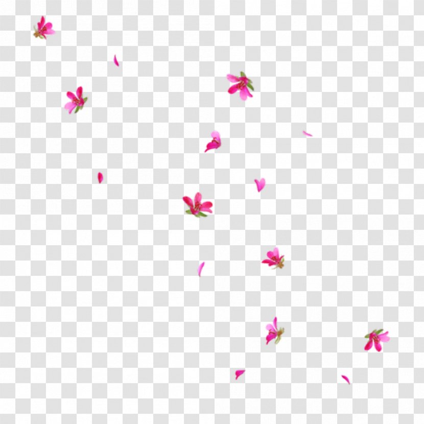 Flower Petal Blossom Clip Art - Heart Transparent PNG