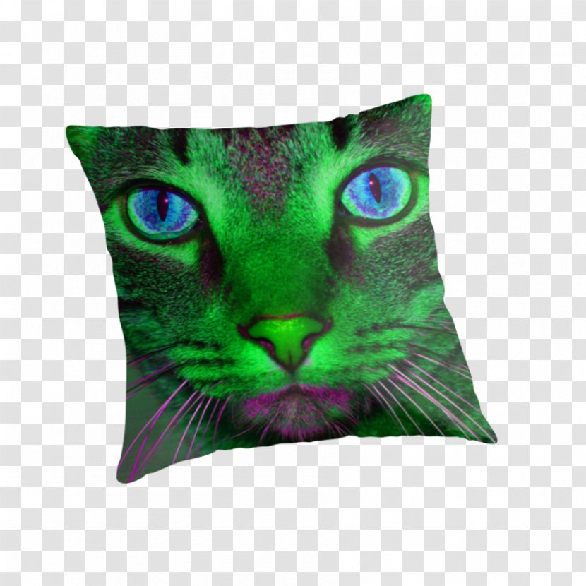 Whiskers Throw Pillows Cushion Snout - Pillow - Green Transparent PNG