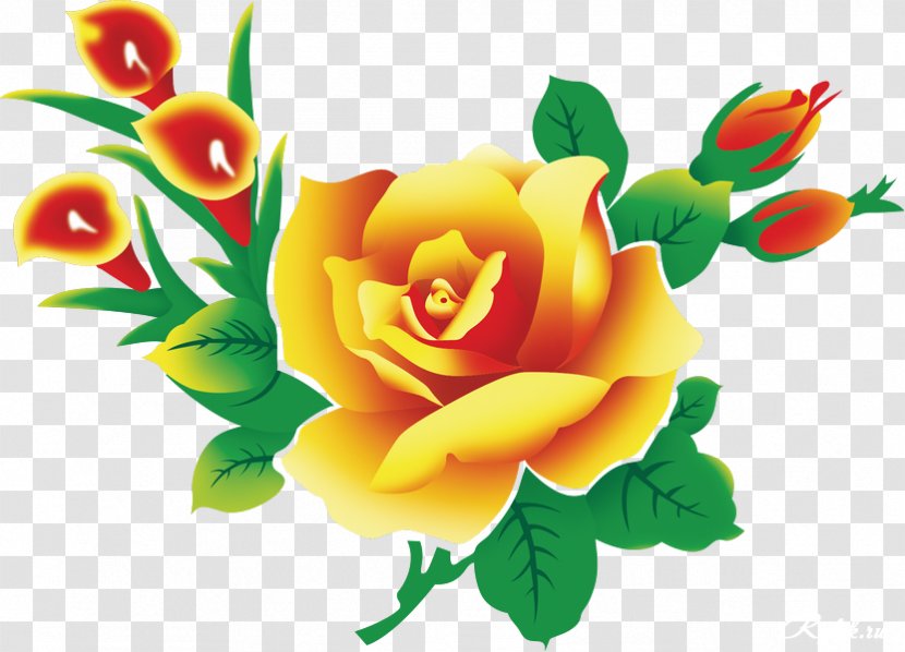 Vector Graphics Desktop Wallpaper Clip Art Flower Image - Rose Family Transparent PNG