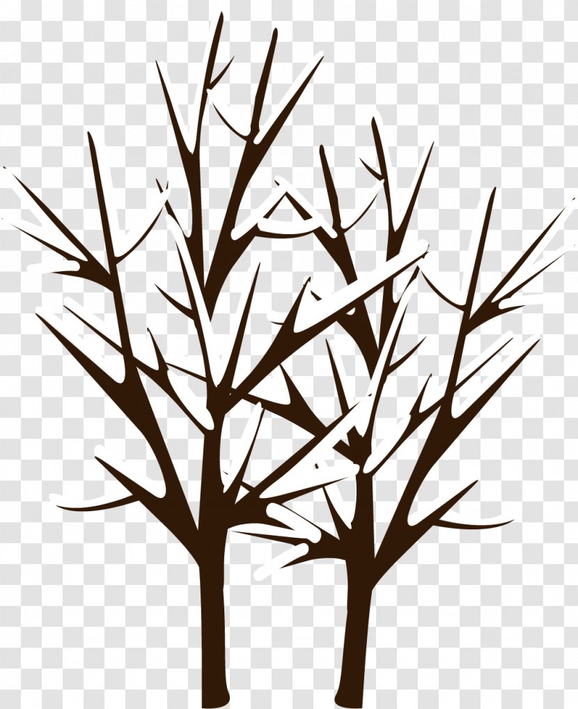 Twig Snow Vecteur - Plant - Branches Thick Transparent PNG