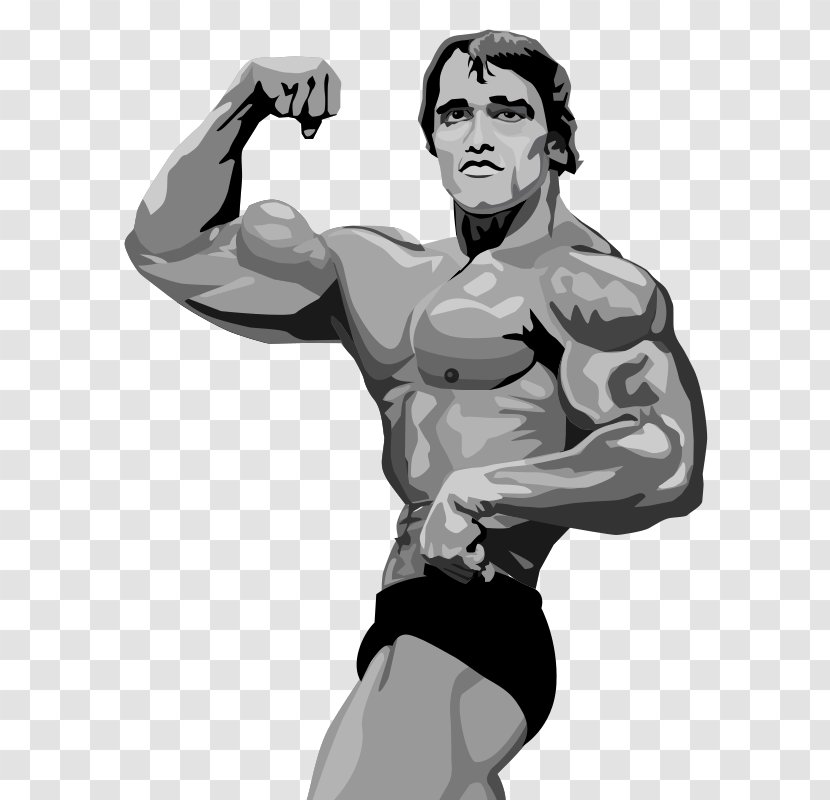 Arnold Schwarzenegger Terminator 2: Judgment Day Bodybuilding - Watercolor Transparent PNG
