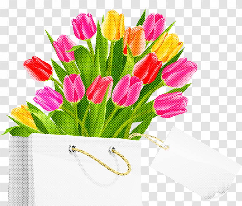 Flower Cut Flowers Tulip Flowerpot Plant Transparent PNG