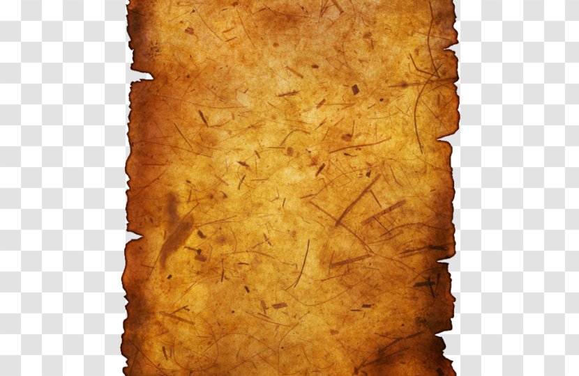 Kraft Paper Parchment Scroll - Printing And Writing Transparent PNG