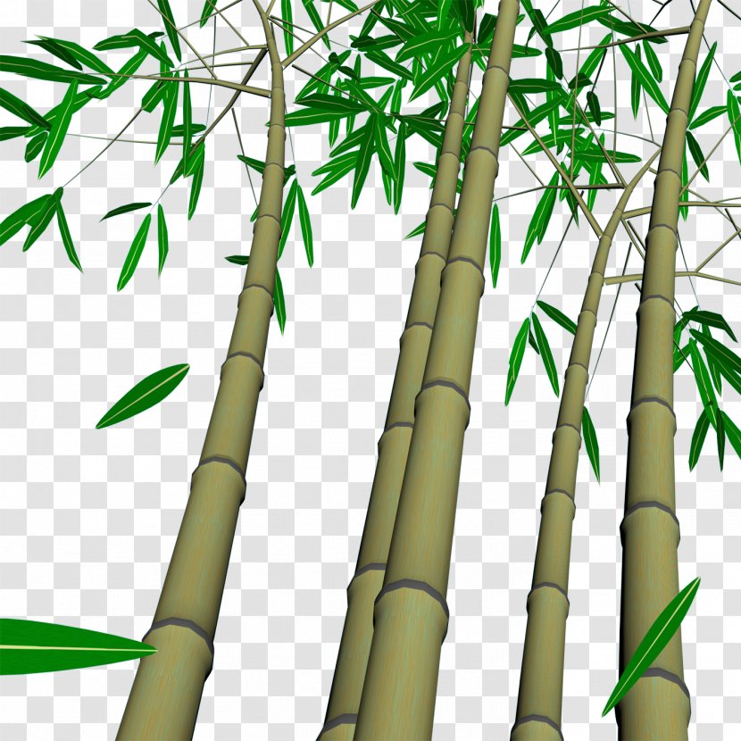 Bamboo Wall Wallpaper - Painting Transparent PNG