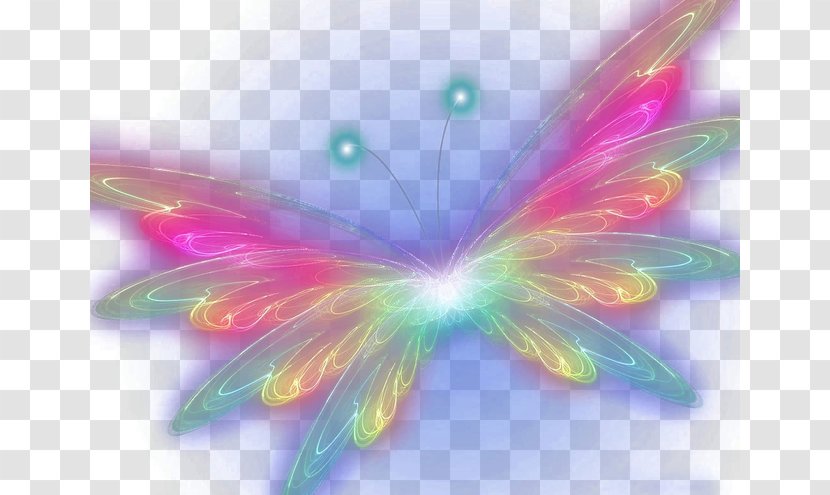 Butterfly Computer Wallpaper - Wing - Colorful Transparent PNG