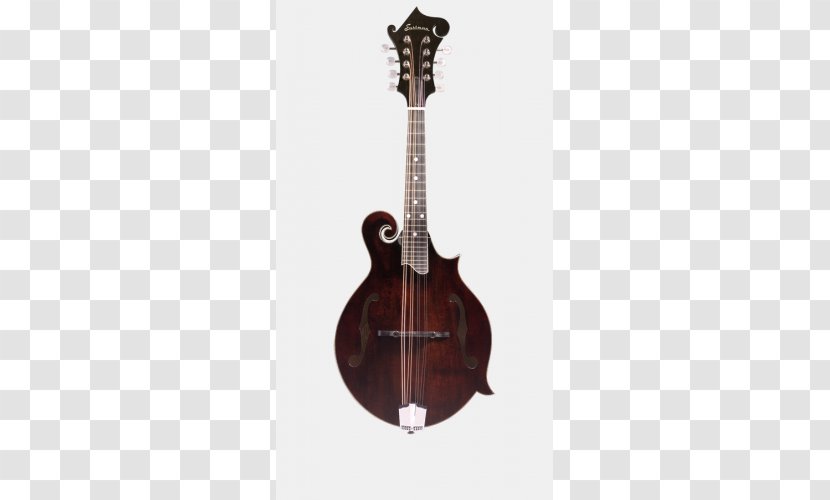 Musical Instruments Mandolin Collings Guitars Fingerboard - Tree Transparent PNG