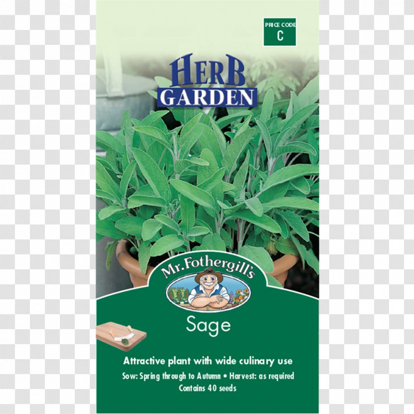 Herb Common Sage Clary Seed Dog Meat - Poultry Transparent PNG