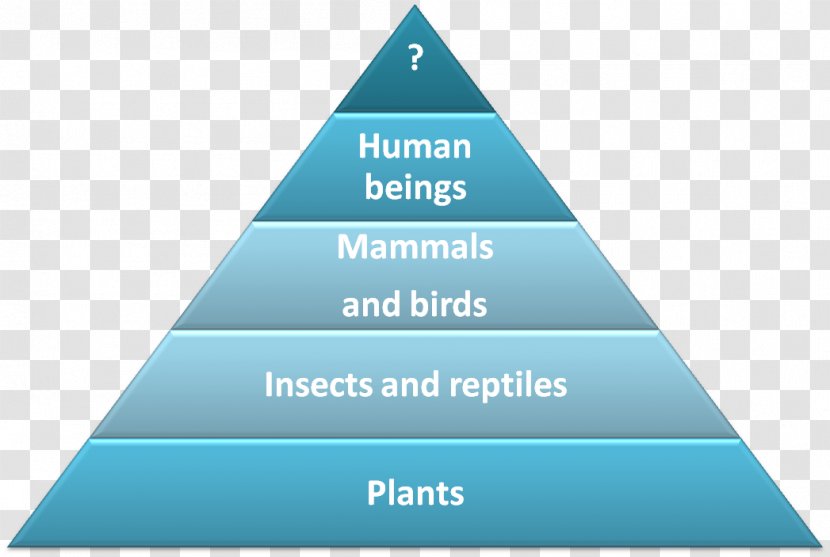 Maslow's Hierarchy Of Needs Psychology Society - Fundamental Human - Food Chain Transparent PNG