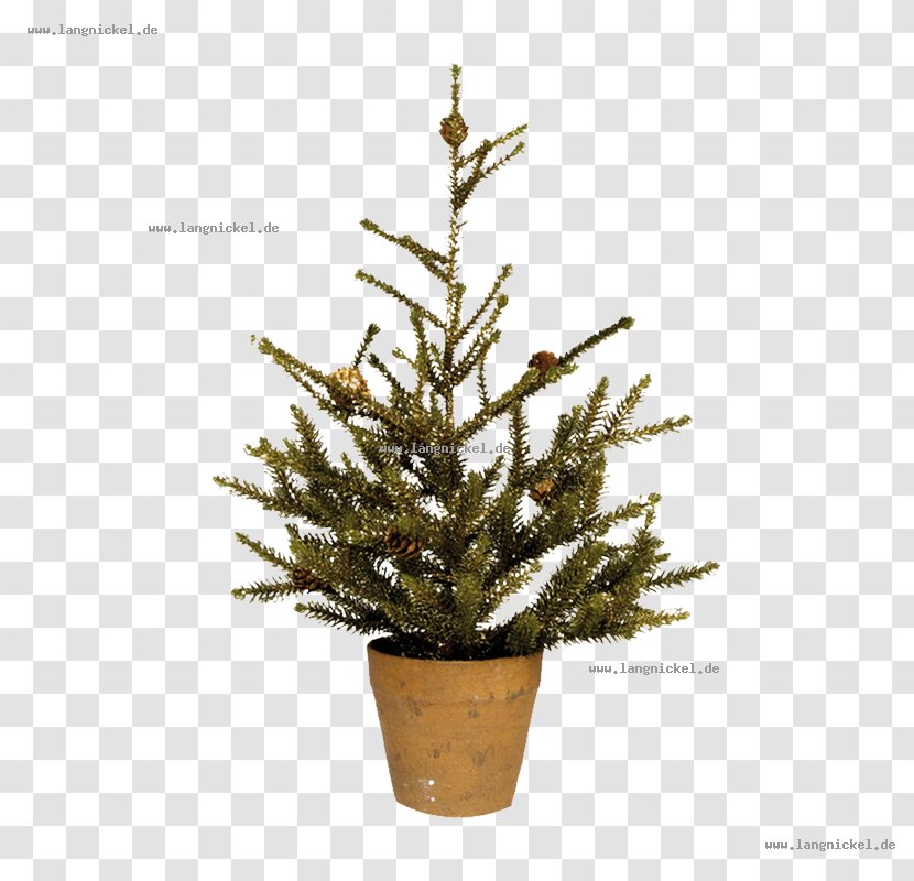 Spruce Christmas Tree Ornament Fir Pine - Flowerpot Transparent PNG