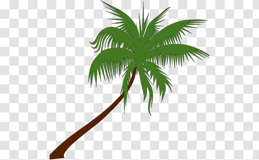 Palm Trees Clip Art Coconut Openclipart - Date Transparent PNG