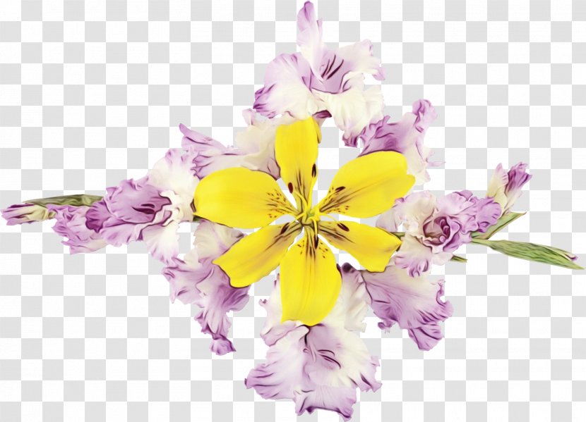 Floral Design Cut Flowers Flower Bouquet Petal - Lavender Transparent PNG