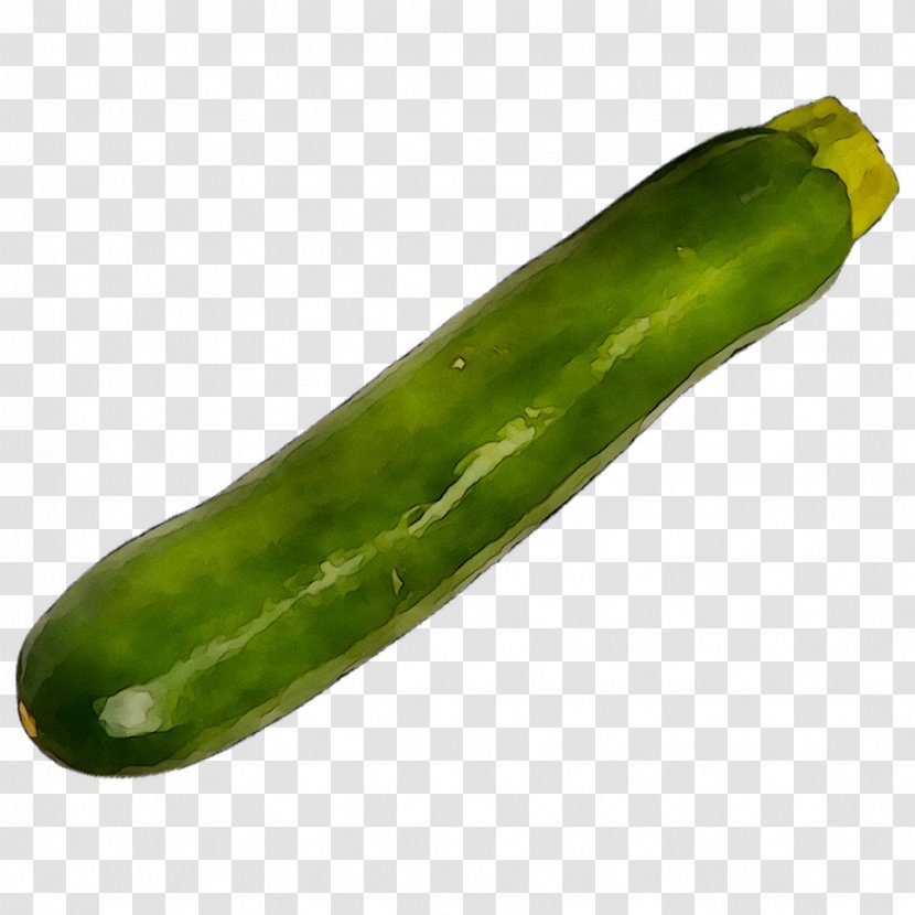 Cucumber Fruit Vegetable Berries Legume - Zucchini - Gourd And Melon Family Transparent PNG