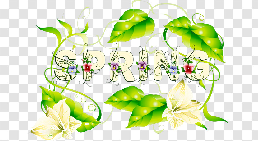 Green Leaf Plant Vegetable Flower Transparent PNG