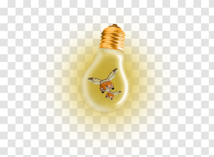 Incandescent Light Bulb Blog Fluorescent Lamp - Silhouette - Frame Transparent PNG