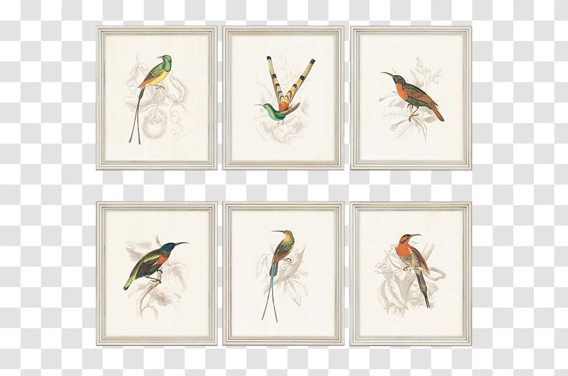 Decorative Arts Graphic Graphics Picture Frames - Hummingbird - Coast Salish Transparent PNG