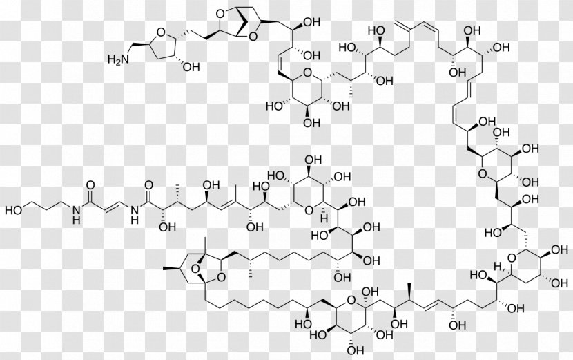 Palytoxin Maitotoxin Structure Chart Chemical Compound - Diagram - Reproduction Transparent PNG