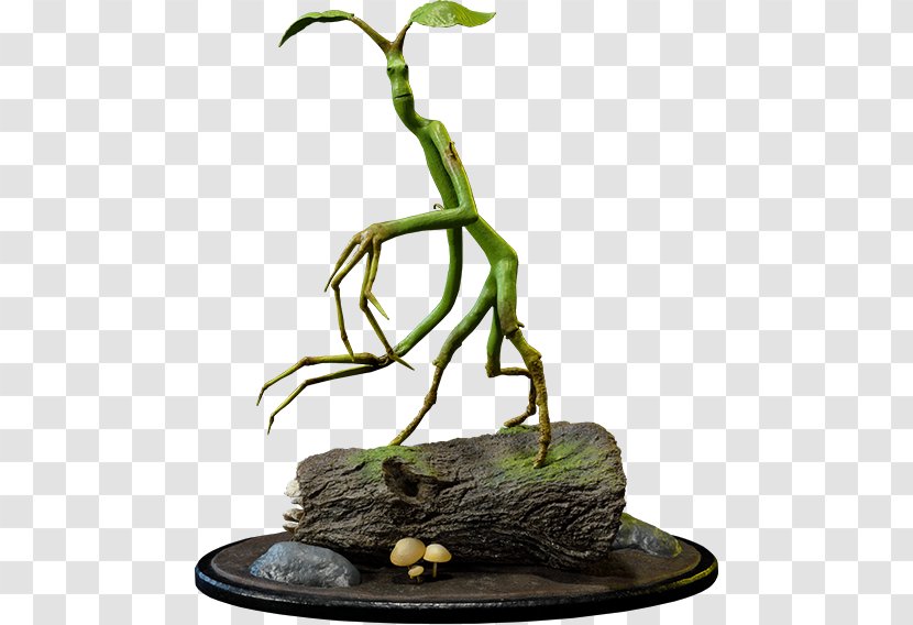 Newt Scamander Fantastic Beasts And Where To Find Them Film Series Bowtruckle Magical Creatures In Harry Potter Wizarding World Transparent PNG