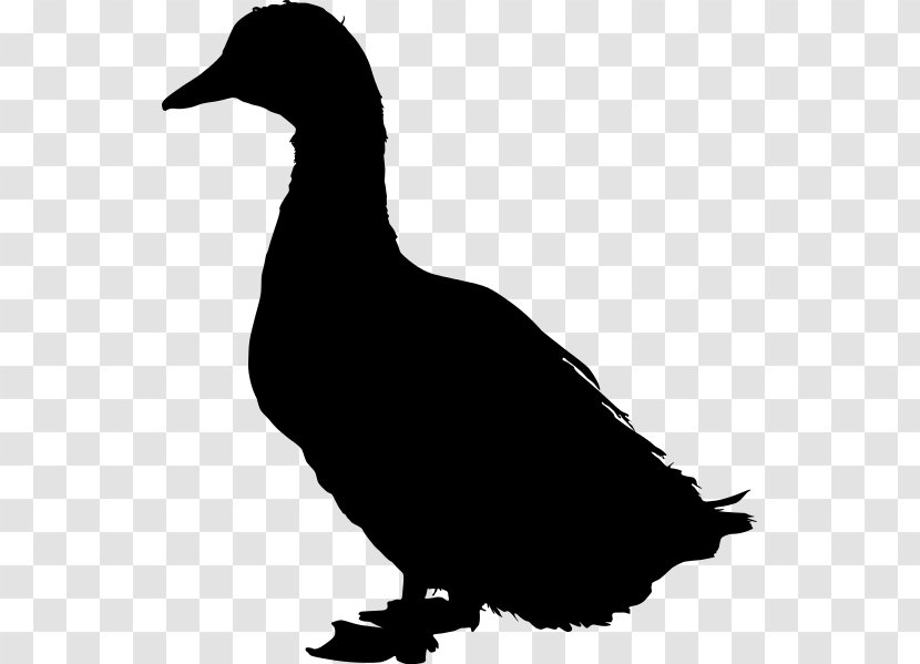 Duck Mallard American Pekin Clip Art - Wing Transparent PNG