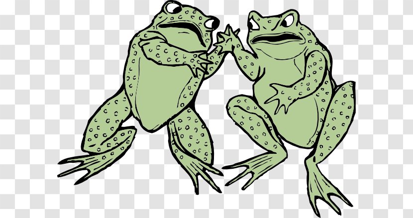 Frog And Toad Amphibian Clip Art - Fauna - Cartoon Toads Transparent PNG