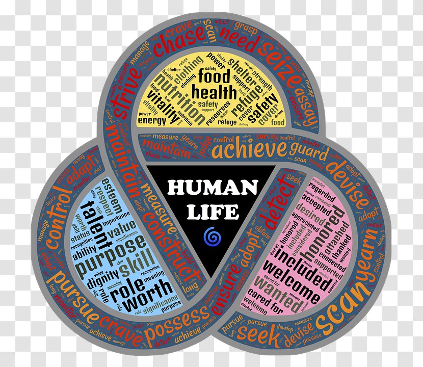 Maslow's Hierarchy Of Needs Emotional Security Fundamental Human - Leadership - Rights Violations Truth Day Transparent PNG