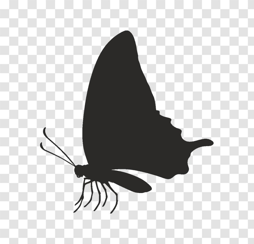 Butterfly Black And White - Lepidoptera - Wing Pollinator Transparent PNG