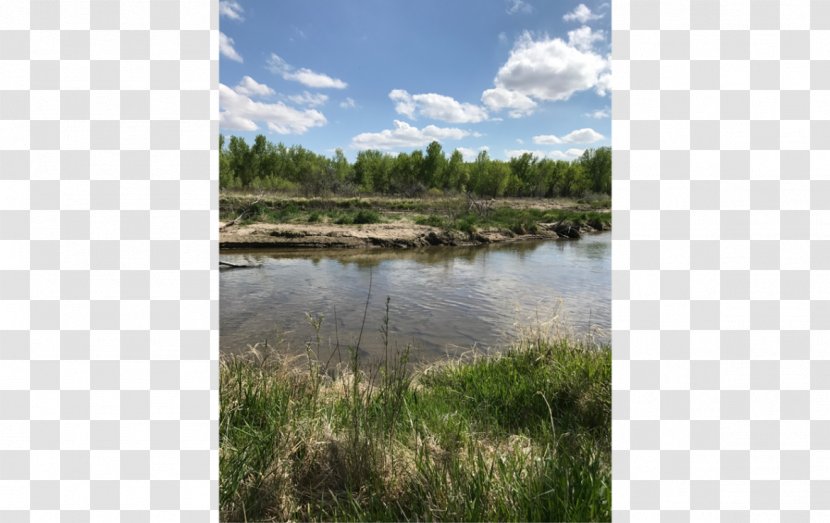 North Platte River Wetland Marsh Lashley Land And Recreational Brokers - Dry Transparent PNG