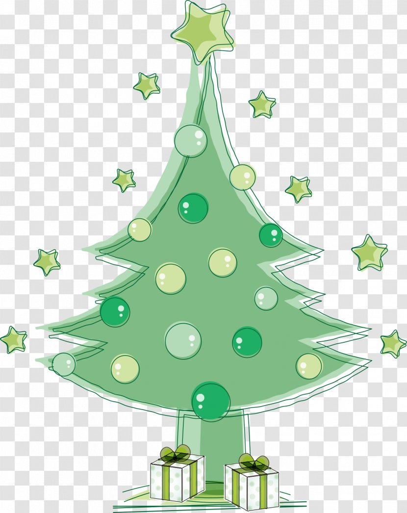 Christmas Tree Euclidean Vector - Befana - Green Transparent PNG