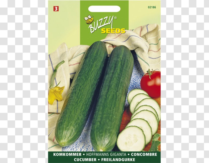 Fruit Vegetable Slicing Cucumber Seed - Gherkin Transparent PNG