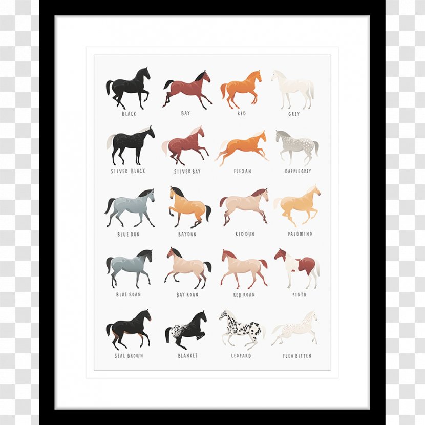 Appaloosa Equine Coat Color Genetics Pony Dog - Fauna - Watercolor Horse Transparent PNG