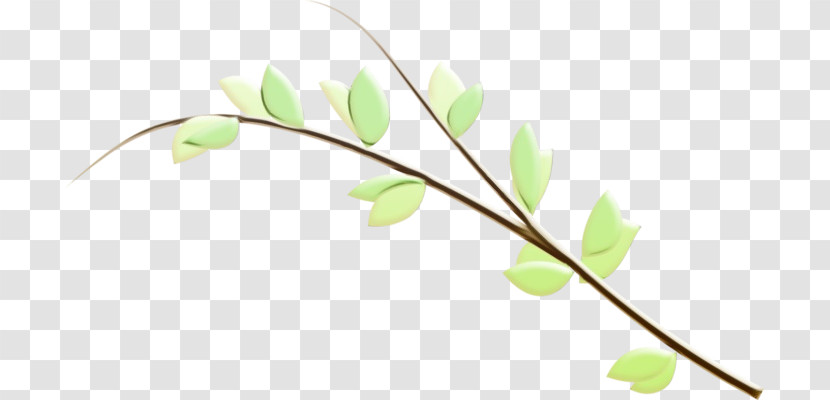 Branch Flower Plant Twig Leaf Transparent PNG