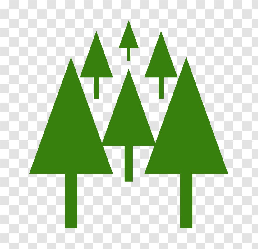 Soddì Paulilatino Geoportal Ghilarza Norbello - Pine Family - Map Transparent PNG