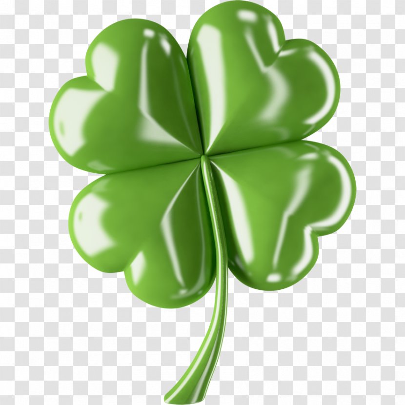 Four-leaf Clover Photography Shamrock - Petal Transparent PNG