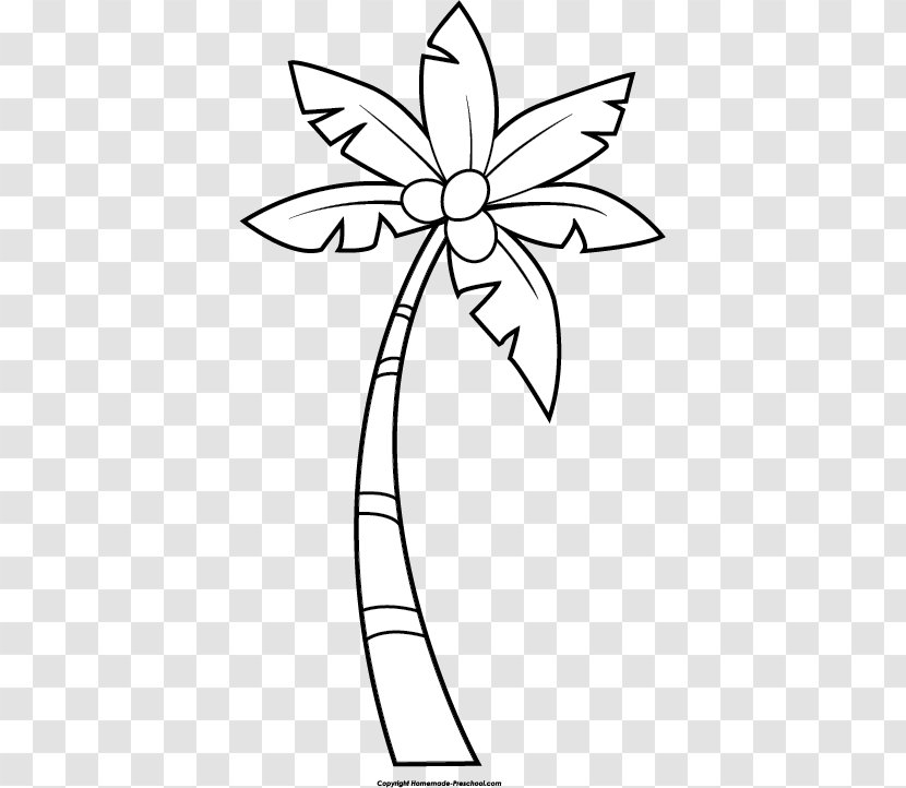 Arecaceae Tree Coconut Clip Art - Floral Design - Banana Cliparts Transparent PNG