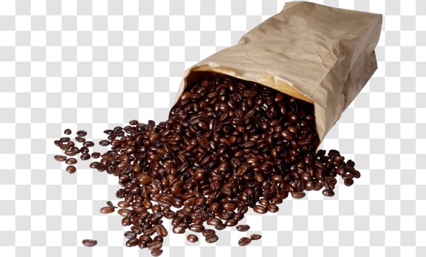 Coffee Bean Kopi Luwak Cafe Espresso Transparent PNG