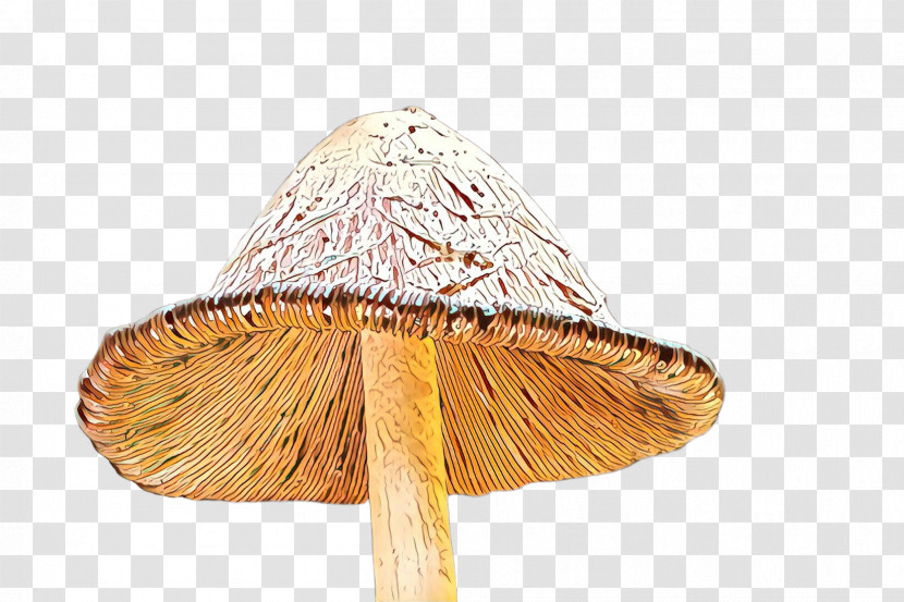 Mushroom Umbrella Hat Cone Transparent PNG