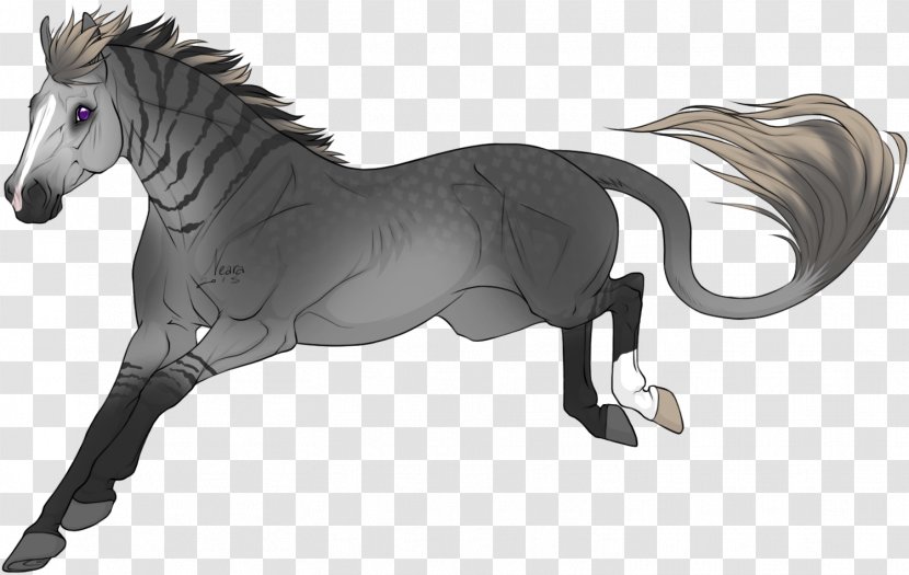 Mane Mustang Stallion Mare Rein - Halter Transparent PNG