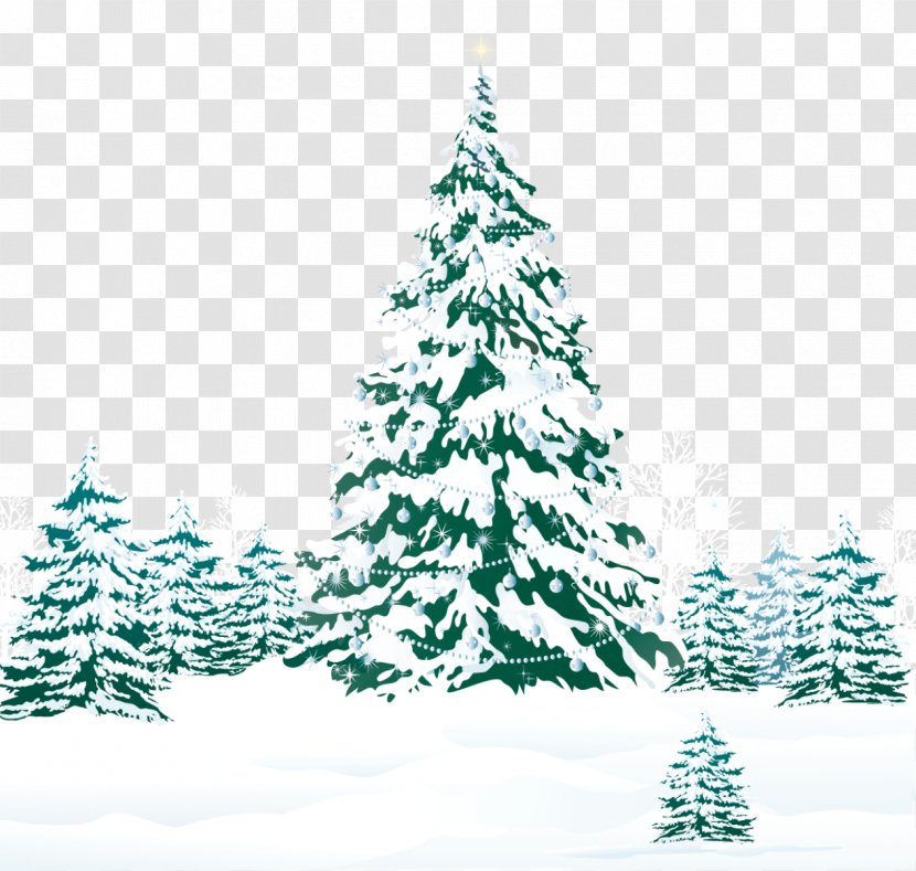 Christmas Tree Pine Snow - Snowy Winter Ground With Trees Clipart Image Transparent PNG