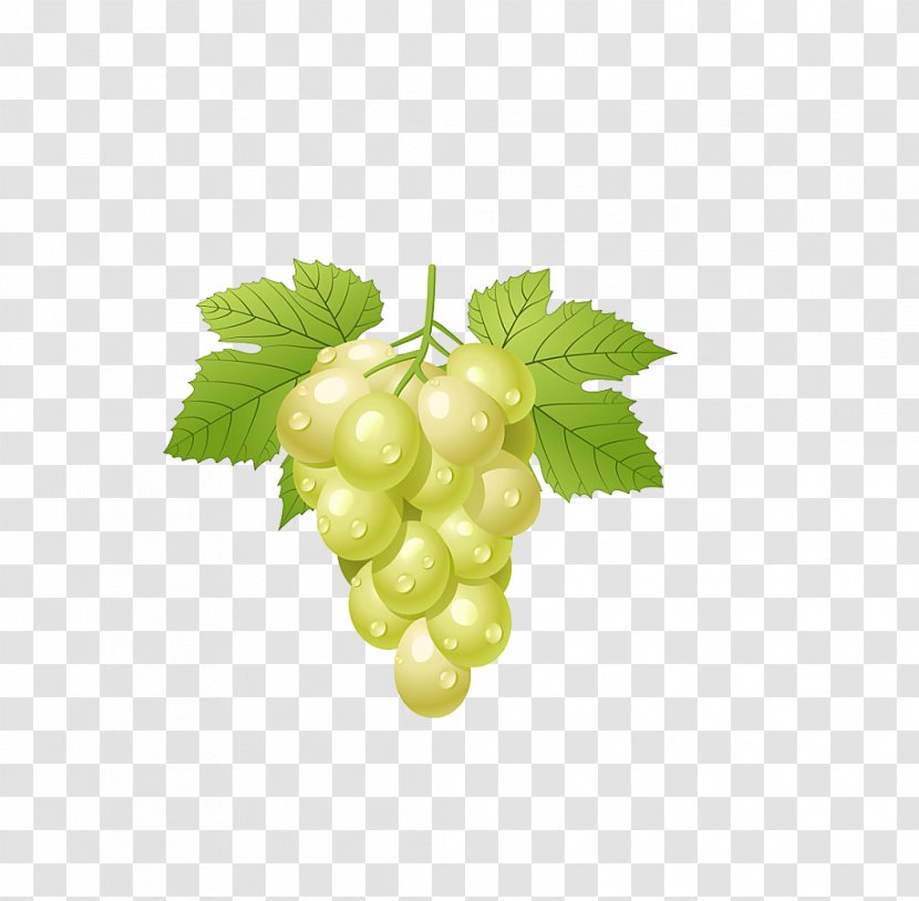 Common Grape Vine Clip Art - Superfood Transparent PNG