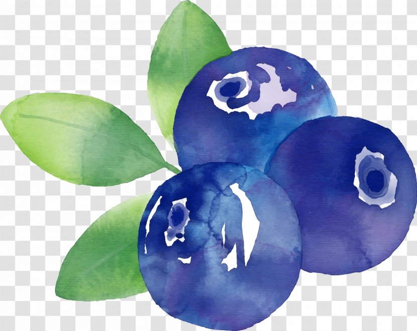 Frutti Di Bosco Blueberry Euclidean Vector Fruit - Bilberry - Hand Painted Blueberries Transparent PNG