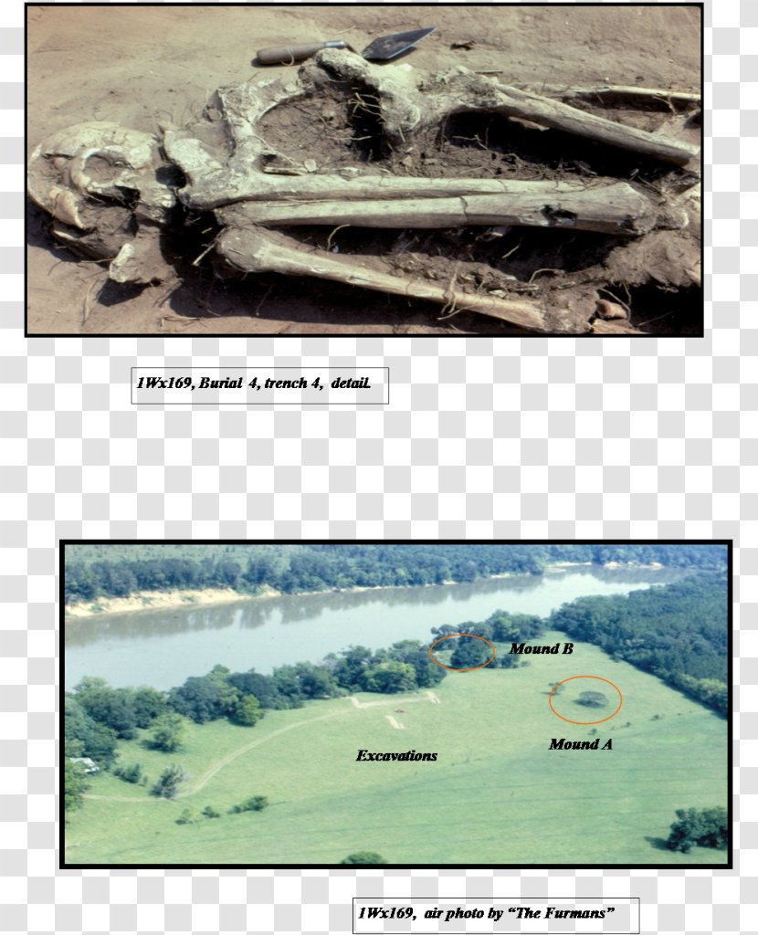 Curren Caleb Prehistory Furman Archaeology Mound - Mississippian Transparent PNG