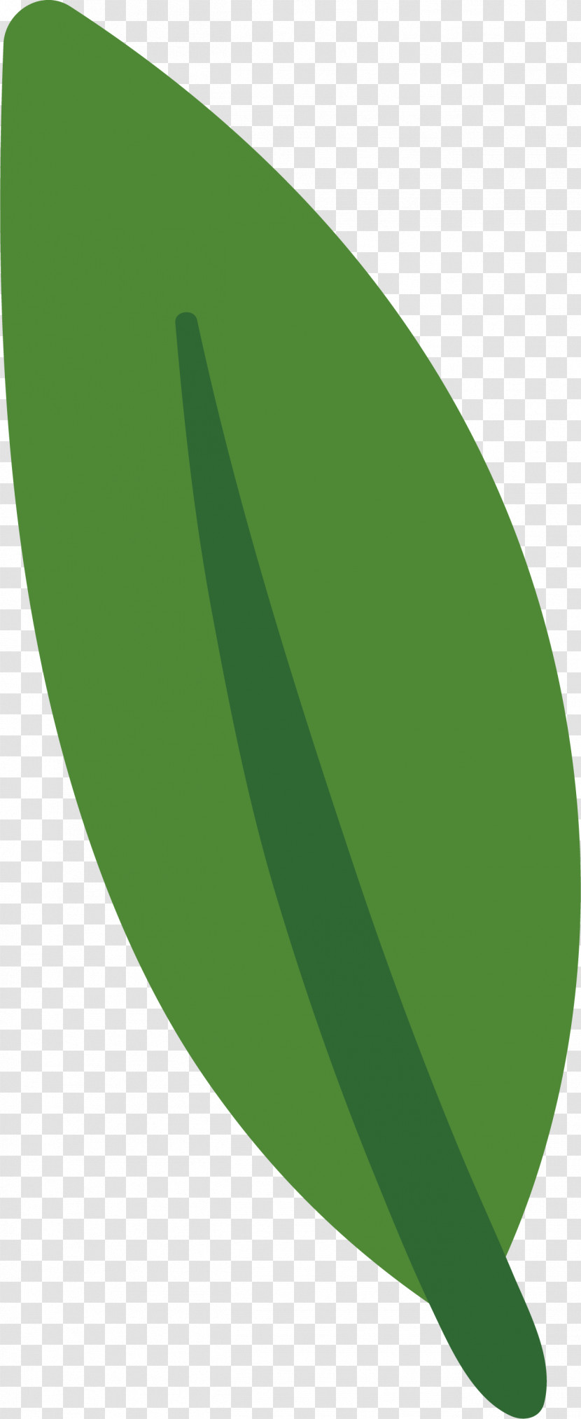 Leaf Transparent PNG