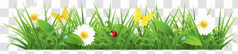 Download Lawn Clip Art - Flower - Grass Transparent PNG